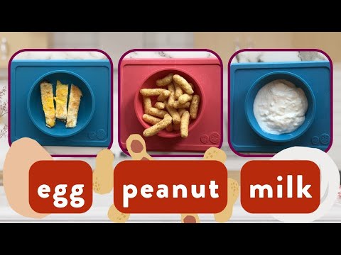 Explaining Baby Food Allergies In Less Than 10 Minutes