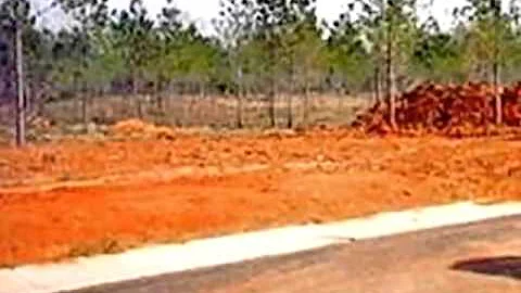 Homes for Sale - 19 Eagle Cove Estates Northport A...