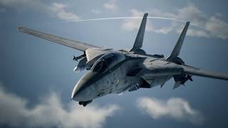 Highway to the Danger Zone (Ace Combat 7 F14D Montage)