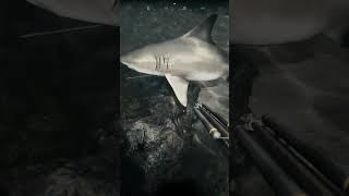 Shark Attack 🦈😱 #horror #shark #gaming #fun #dive screenshot 4