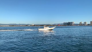 Long Trip to Omaezaki-Shi and Slight Fishing at Hamanako | Hamamatsu Japan