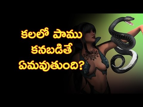 In Telugu కలలో పాము కనపడితే దాని అర్థం ఏమిటి? Snake in the dream What is the meaning of it?