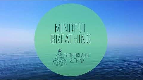 3 minute Mindful Breathing Meditation Relieve Stress