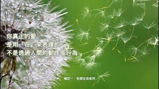 楊定一:你真正的愛是用「在」來表達的,不是透過人間的動作或行為