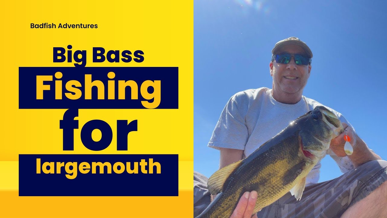 Lake Champlain Bass Fishing