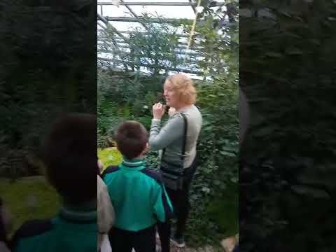 Экскурсия в Ботанический сад, Ветер перемен, Новосибирск