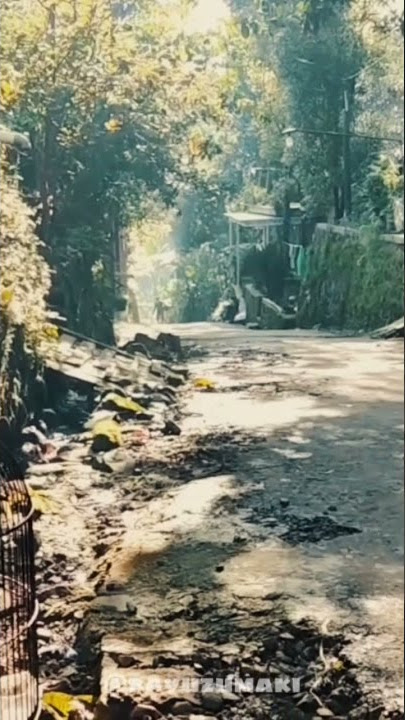 SUASANA DESA DI PAGI HARI #kampung #pedesaan #storywa #storywa30detik #cynematic #suasanapedesaan