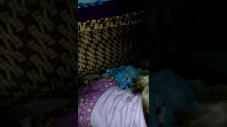 Download lagu Asu cok Asu cok