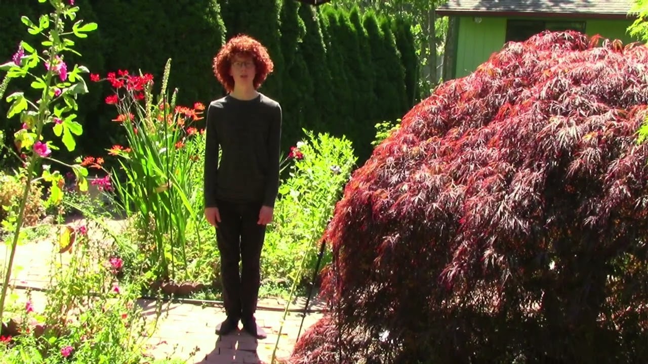 Prix Orford Musique 2022 - Henry From