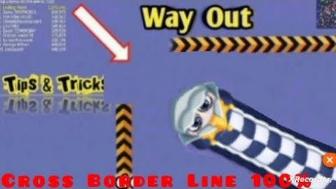 Worms zone io#Cross Border Line 100%