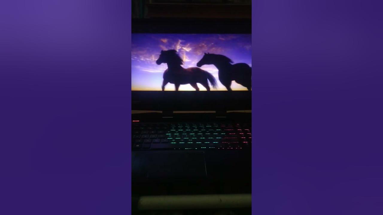 hp-omen-15-audio-visualizer-lighting-mode-shorts-youtube