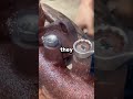 #Reddit#diy#cnc#woodworking#shorts
