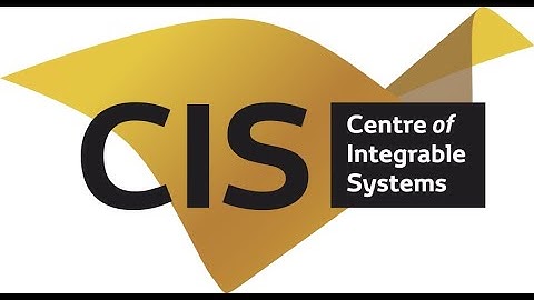Seminar (online): A. Dzhamay "Discrete Schlesinger Equations and Difference Painlevé Equations"