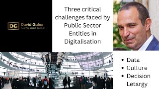Public Sector Challenges in Digitalisation