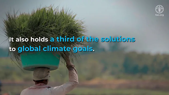 Transforming Agriculture For People and the Planet