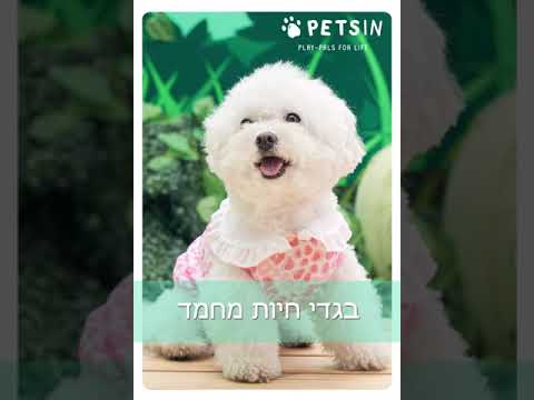 וִידֵאוֹ: אילו חיות צד ארטמיס?