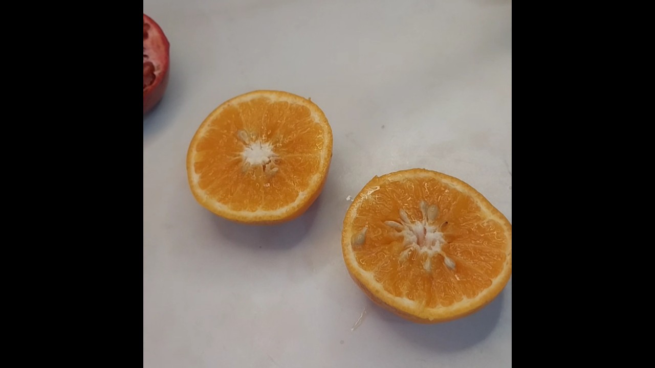 ASMR Cutting Real Orange 🍊 Satisfying Juicy Fruit Sounds. 