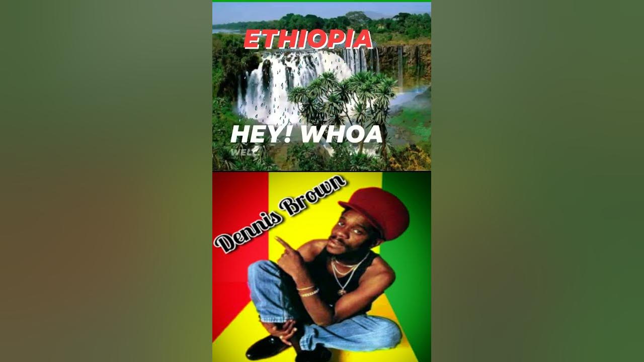 Dennis Brown Promise Land