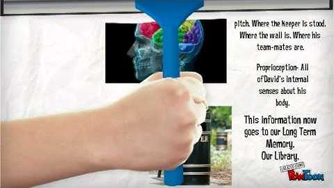 Information Processing