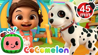 how to take care of doggies more ninas familia cocomelon nursery rhymes kids songs