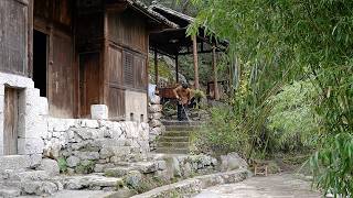 Leaving the City ~ A poor man diy renovates an old abandoned house in the mountains | Free life