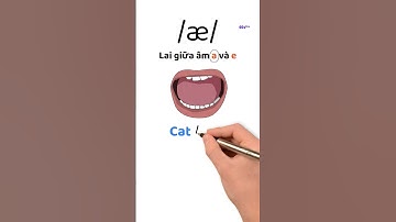 Cách phát âm âm /æ/ (ae) trong phiên âm tiếng Anh