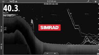 Simrad Screen Shots Ep1 - Kingfish On Live Bait