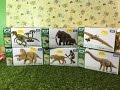 unboxing 6 different Takara Ania Animal Adventure jurassic animals (01080 z)