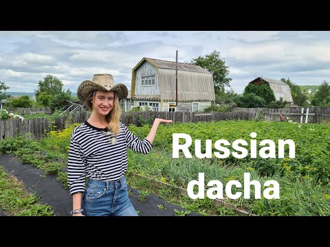 Russian dacha / Far East of Russia