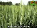 Miniature de la vidéo de la chanson Nafarroa, Arragoa