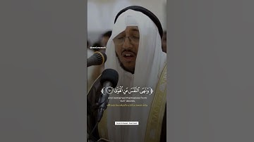 وَأَمّا مَن خافَ مَقامَ رَبِّهِ | القارئ سعد أزويت