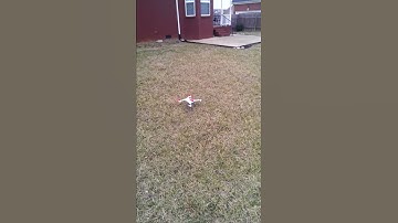 Blade 350qx Test Flight (Hover Only)