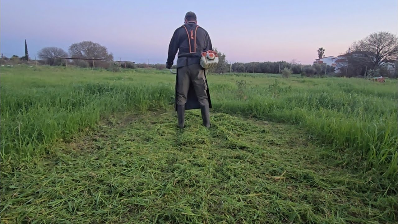 Κυριακή απόγευμα άλλοι πίνουν καφέ και άλλοι κόβουν χορτάρι !!  Ακούς φίλε Κώστα?