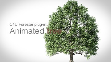 Animated tree and leaves in cinema 4d with Forester plug-in