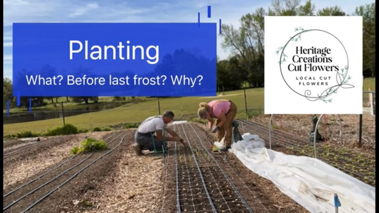 Planting..What Flowers? When? Why? - YouTube