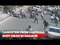 Disturbing visuals: Gangster shot dead before court appearance in Rajasthan: Police