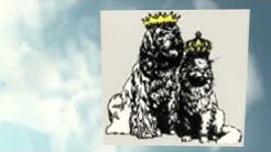 Pet Shipping and Pet Transport Service Finance Program