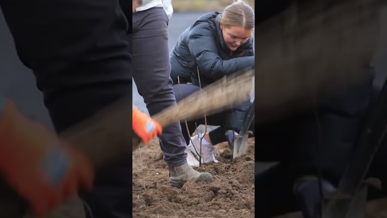 Planting trees in Galway! 
