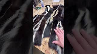 Skunk vest #volkfurs #skunk #furvest #hunting #furhats volkfurs.com