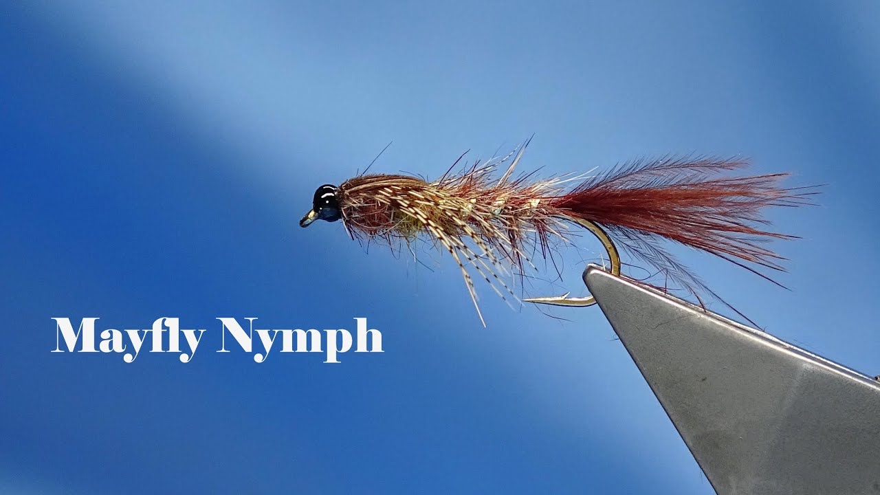 Tie This Large Mayfly Nymph – Essential for Mayfly Season