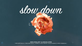 LiQWYD - Slow down [Official]