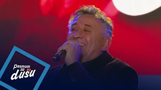 Semir Ceric Koke - A ona je htjela sa mnom svatove - PZD - (LIVE) - (Tv Grand 10.11.2025.)