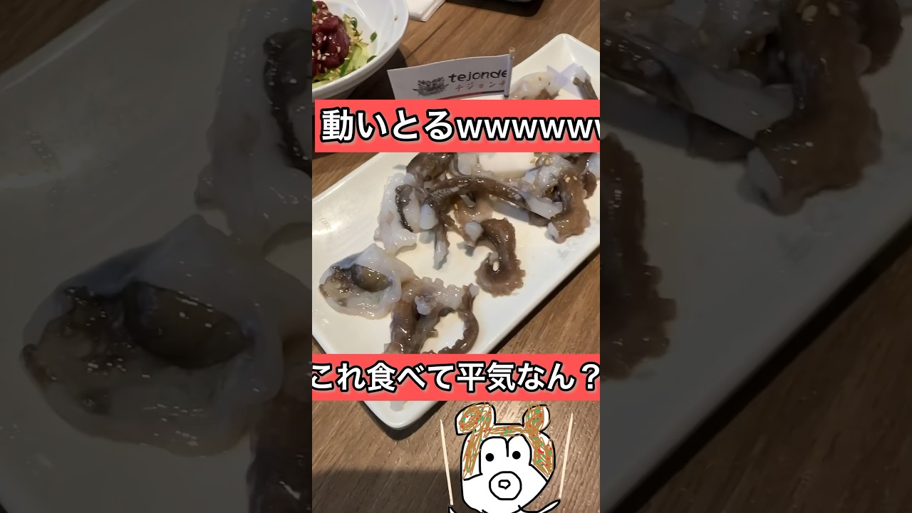 【ニョロニョロ動く生きてるタコを食べてきたwwwwwww】#ジャンボリーミッキー #新大久保#テジョンデ#shorts
