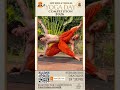 Do you know the roots of your yoga practice?