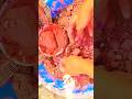 Red chalk crushing #satisfying #gymchalkasmr #crunchycrumbles #gymchalk #chalkcrushing