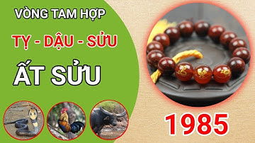 VÒNG TAY TAM HỢP QUÝ NHÂN TỴ - DẬU - SỬU CHO TUỔI ẤT SỬU 1985