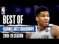 Best Of Giannis Antetokounmpo | 2019-20 NBA Season