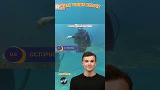 Octopuses can trick human captors #OctopusBrains #SeaHoudini