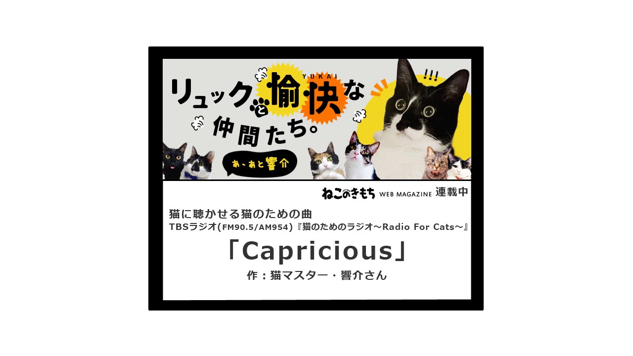 猫が好きな音楽5選 さこ 音楽雑誌の編集者 Note