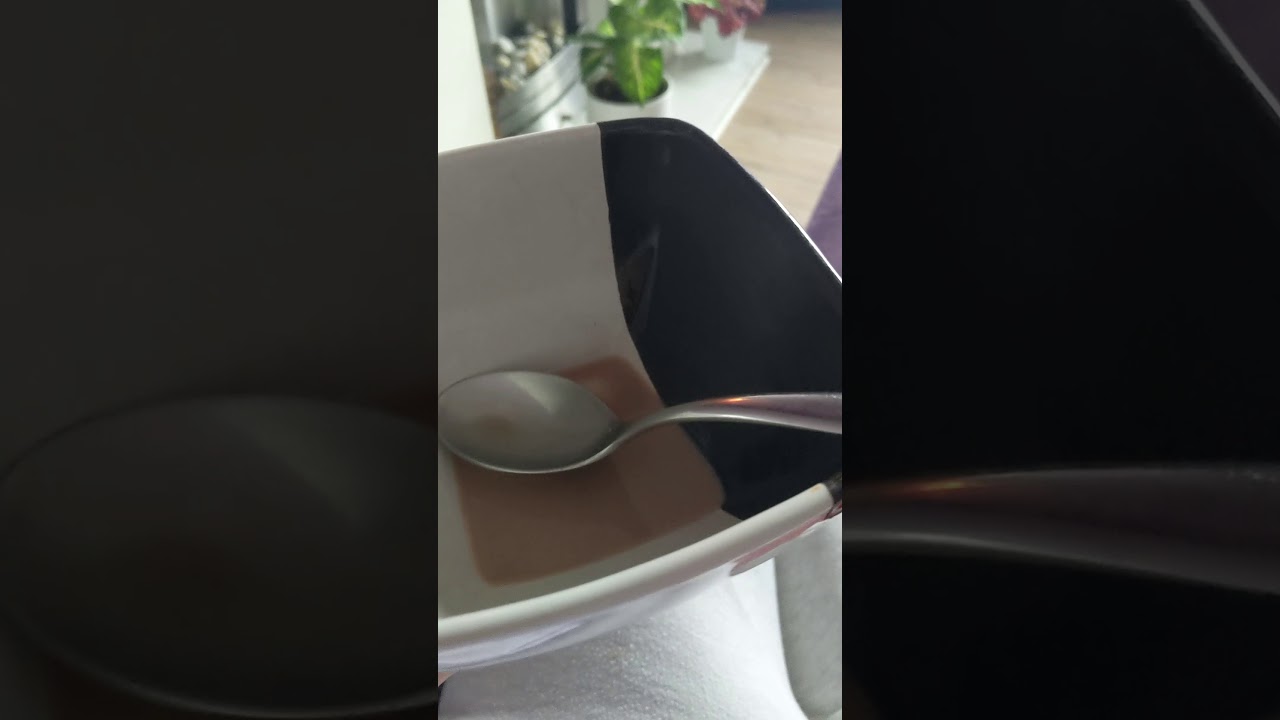 Sprocket The English Bull Terrier - Cheeky Feck